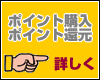 �|�C���g�ɂ���